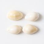 Decorative cowrie shells in mix size for rituals and craft projects