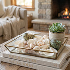 Group of assorted natural shells for decorative and craft purposes