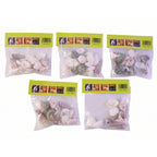Collection of real natural seashells ready for home decor and DIY projects