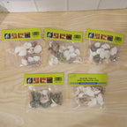 Decorative arrangement of natural seashells for seasonal home decoration