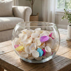 Natural decorative seashells in assorted shapes for crafts