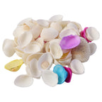 Assorted natural sea shell decorative set for home and events