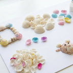 Natural decorative seashells displayed for creative home decor