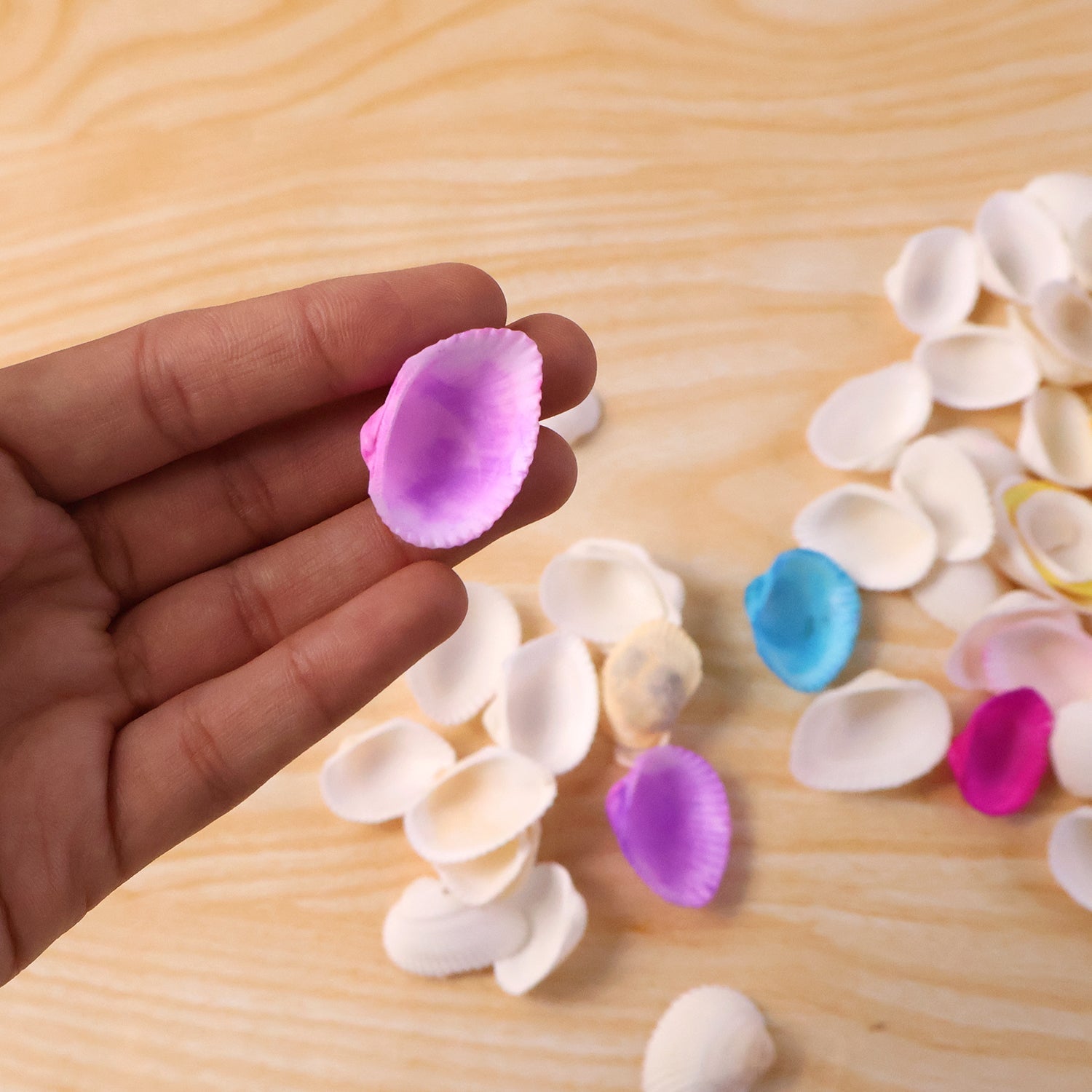 Craft decorative seashells for DIY projects and home styling