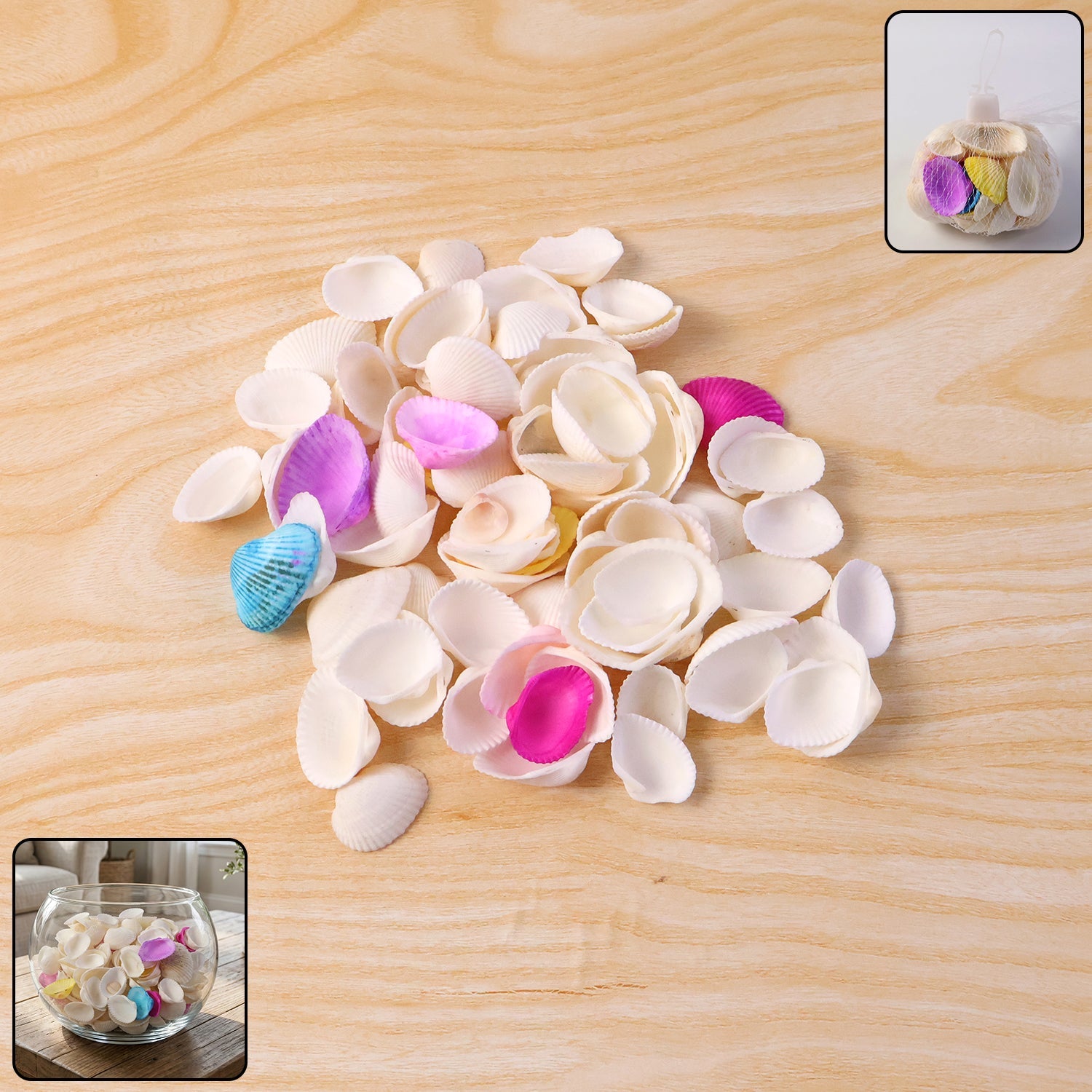 Decorative seashells set arranged for natural home accent