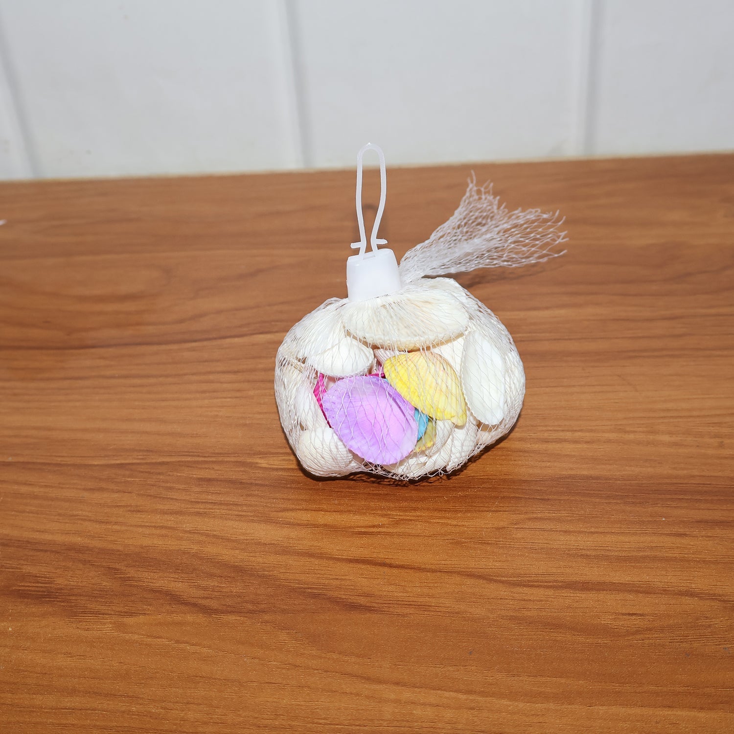 Decorative seashells set with natural coastal aesthetic for decoration