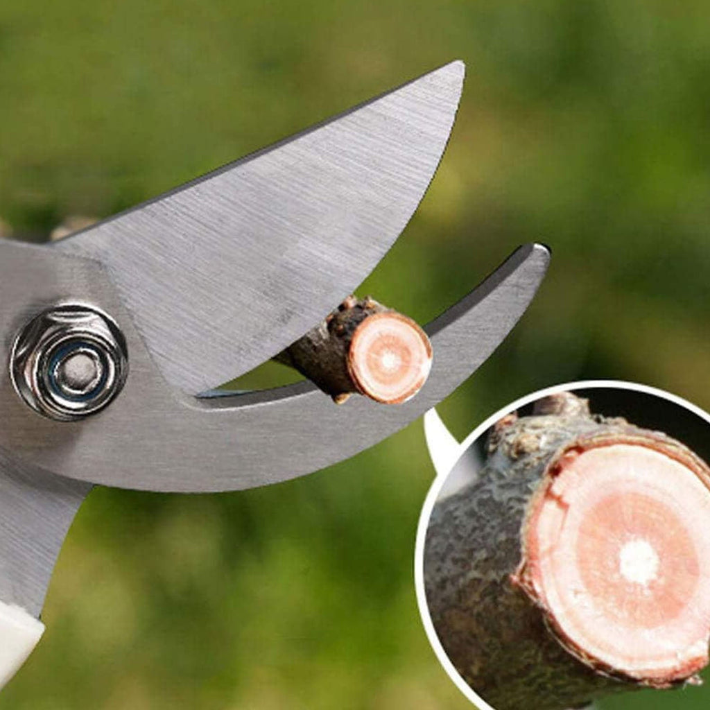 Bypass garden scissors cleanly cutting a delicate flower stem in a garden.