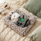 Soft plush cat figurine on table