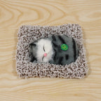 Mini plush open-eye cat showpiece on display