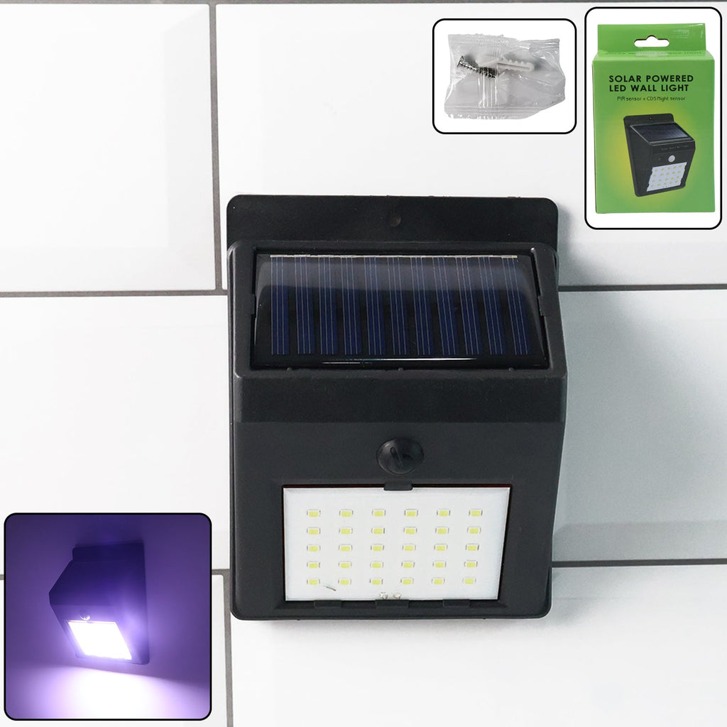 Solar powered LED wall light with motion sensor illuminating garden pathway