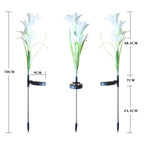 Dimension representation of solar garden flower lights approximately 40 cm tall