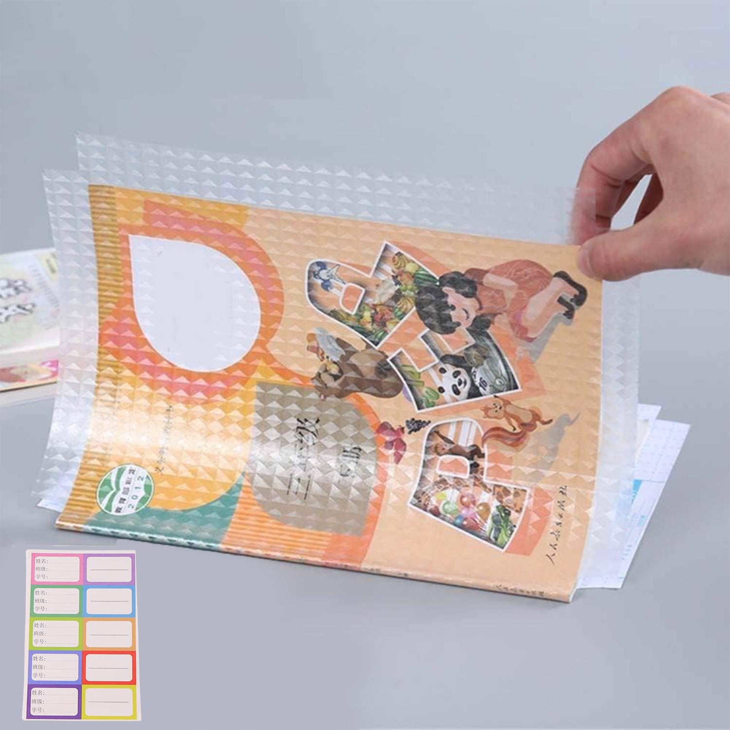 Colourful writable labels for personalizing transparent book covers