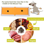 Small size mouse and rat glue trap sheets