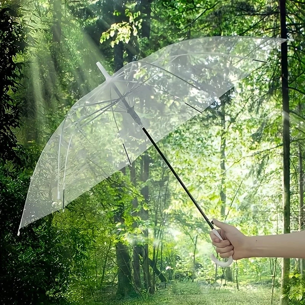 Windproof transparent dome umbrella showing its wide coverage and metal ribs