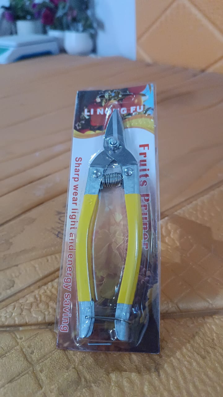 Small garden pruning snip tool in safe storage position with safety clip