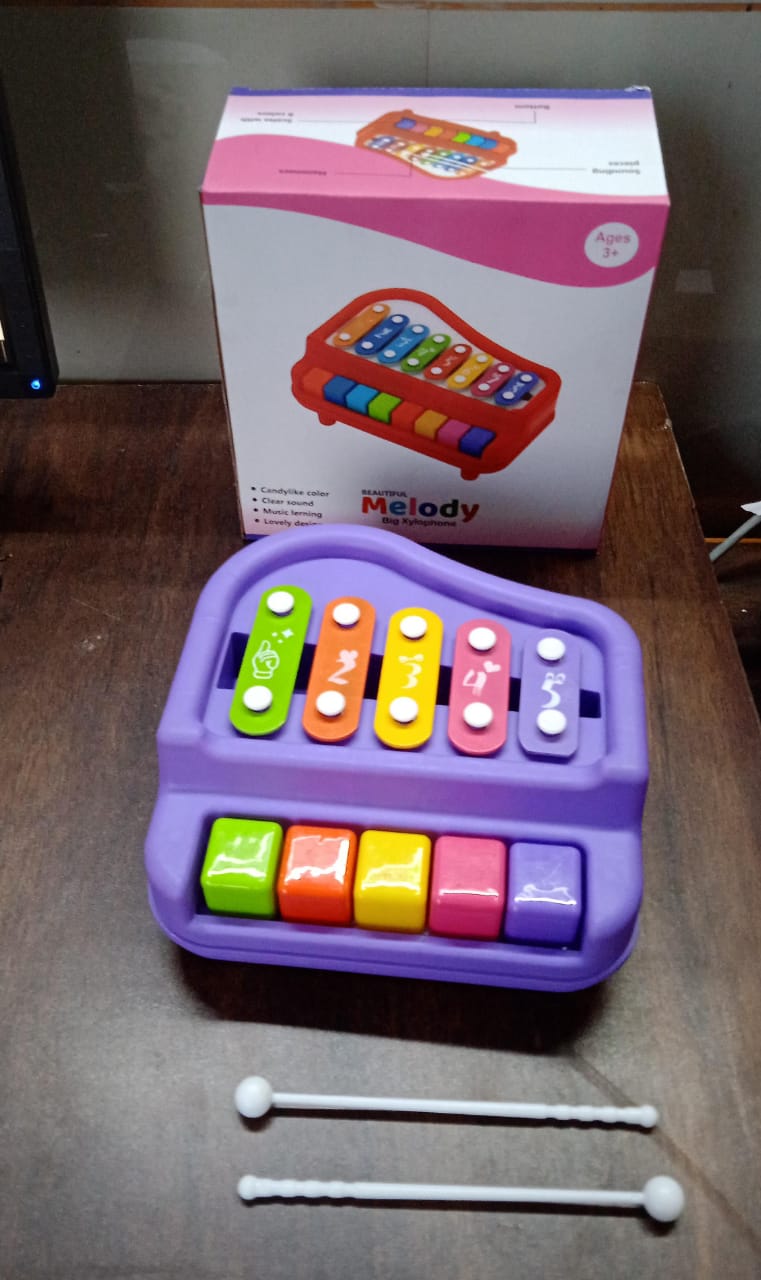 Packaging box for the Little Learners Baby Piano Xylophone toy, ready for gifting.