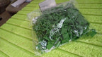 Illustrated steps showing how to apply the plant climbing clips.