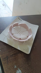 The white plastic soap dish displayed on a simple background.