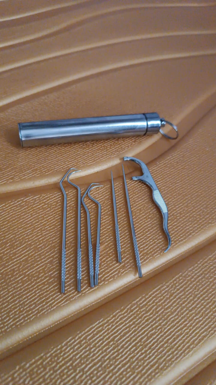A compact stainless steel dental tool set, ideal for on-the-go oral care.