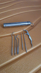 A compact stainless steel dental tool set, ideal for on-the-go oral care.