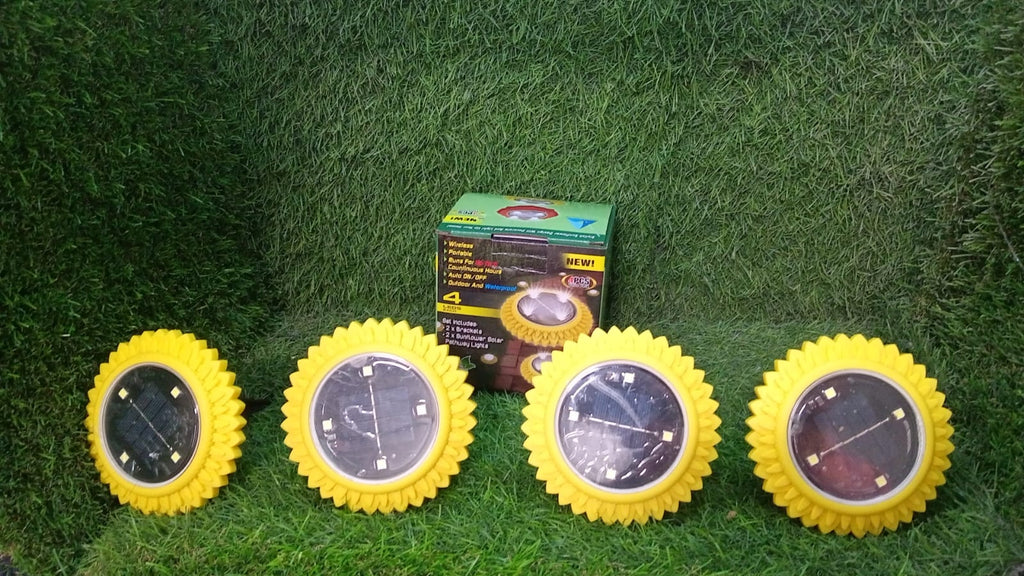 Illuminated solar ground lights at night outdoors