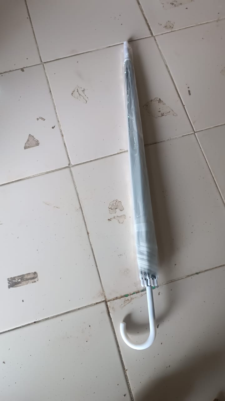 Compact folded premium transparent dome umbrella ready to carry