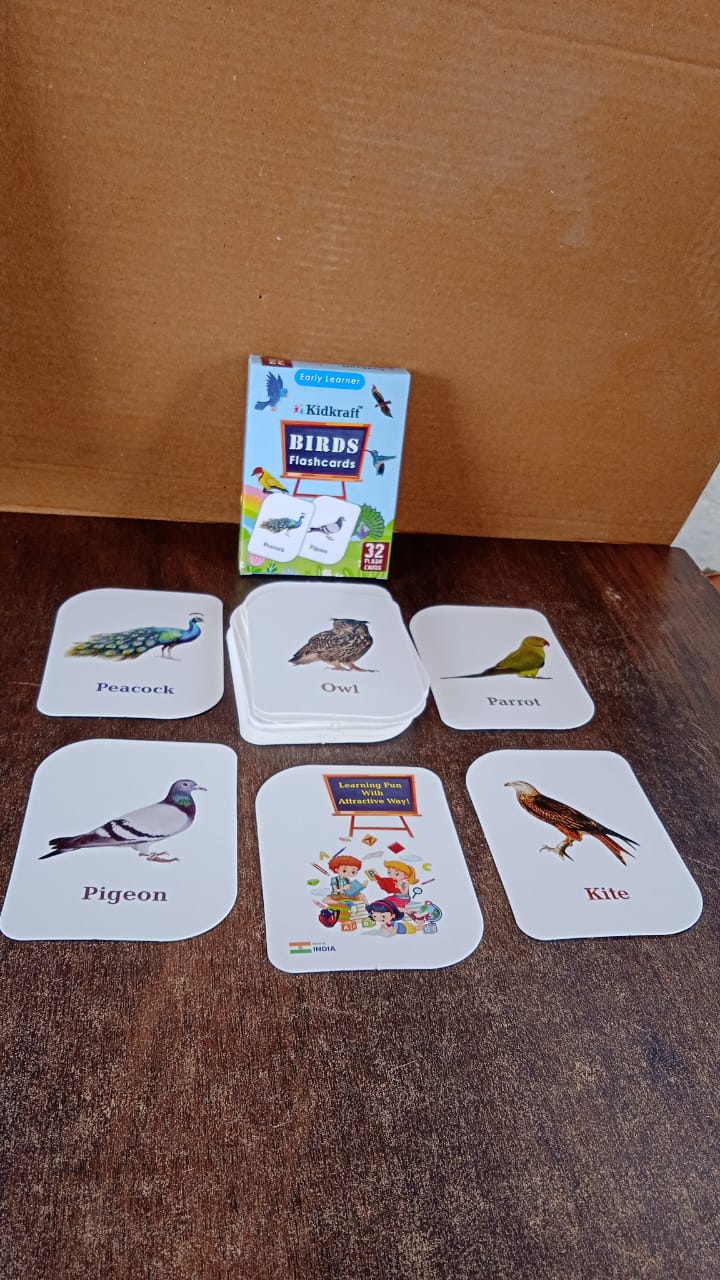 Portable bird flashcards pack ideal for preschool and speech therapy sessions