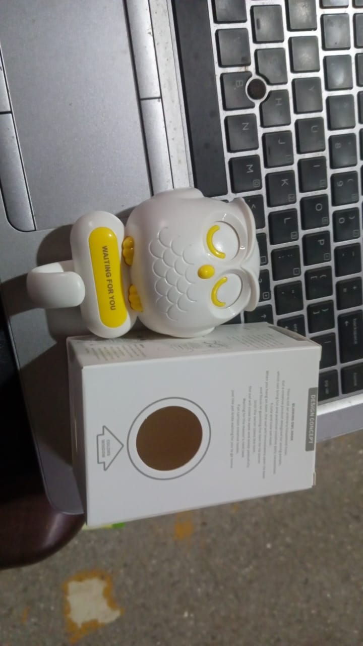 Packaging for the Indo Glow self adhesive bird wall hook, ready for delivery.