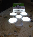 Solar Camping Light placed on an outdoor surface, ready for charging.