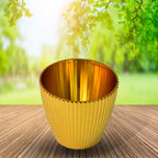 Close-up of Plastic Flower Valencia Pot highlighting BPA-free plastic material