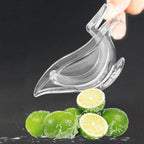 Bird-shaped manual juicer adding a charming touch to kitchen decor.