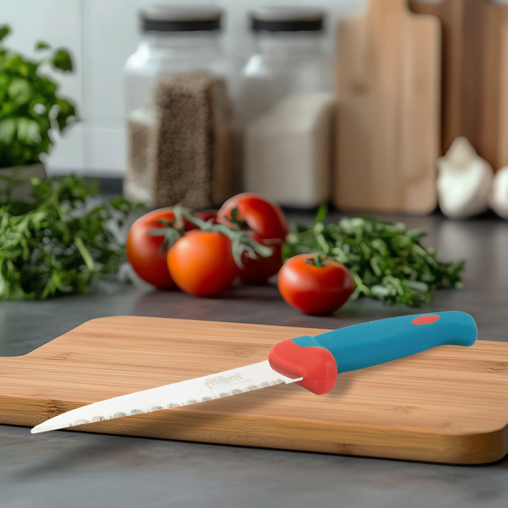 Detailed closeup of the stainless steel paring knife blade
