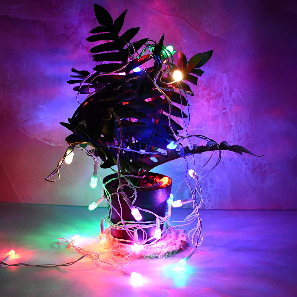 Vintage festoon style multi-color LED string lights brightening space
