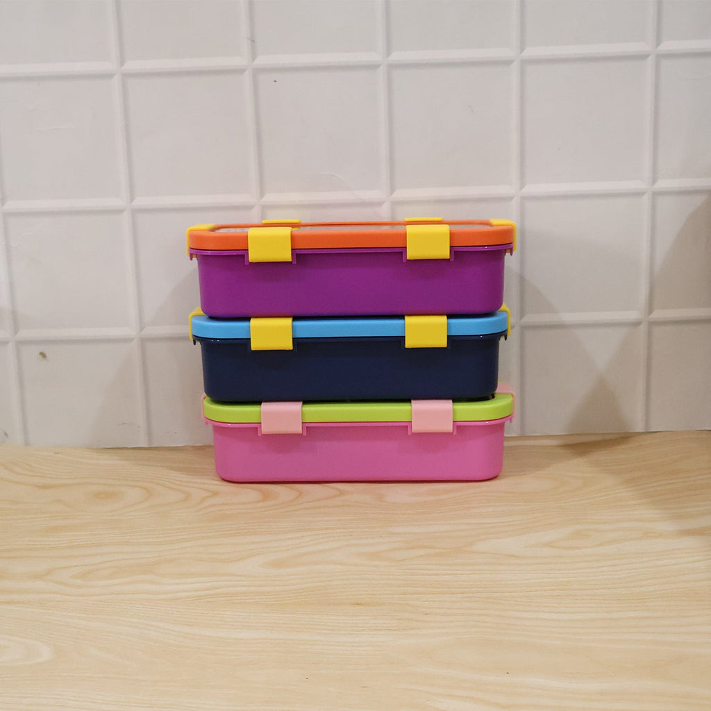 Stylish and durable stainless steel lunch container