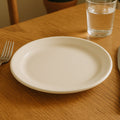 Plastic round dinner plate 23 cm with smooth glossy white finish
