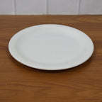 Plastic dinner plate 23 cm in white with raised rim detail