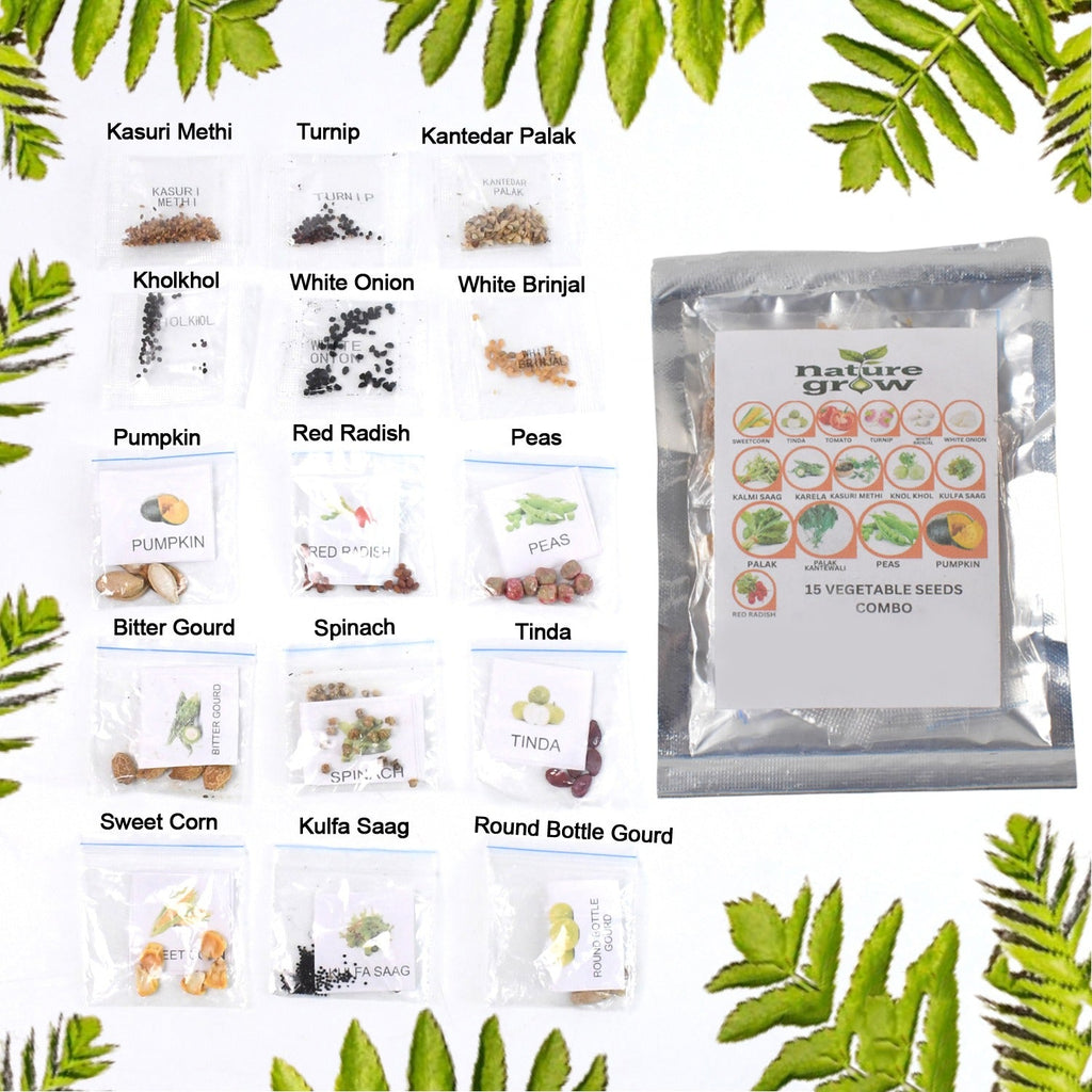 Seed packet showcasing 15 varieties vegetable seeds combo for home gardening