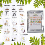 Seed packet showcasing 15 varieties vegetable seeds combo for home gardening