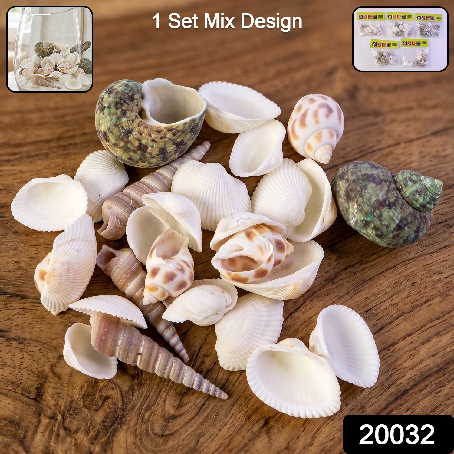 Various natural seashells in assorted shapes displayed artfully for crafts and decor
