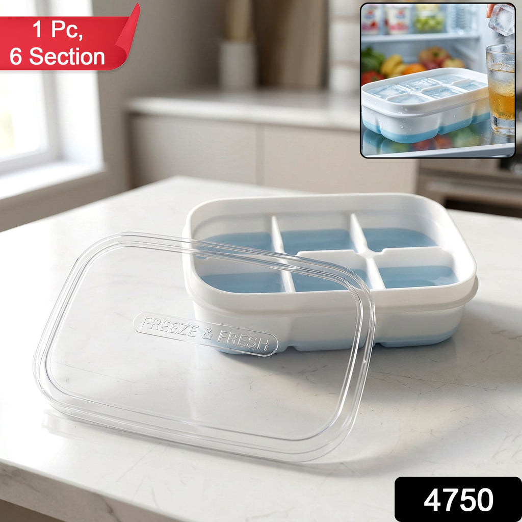 Top view of 6 cavity ice cube tray in freezer