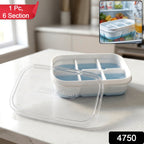 Top view of 6 cavity ice cube tray in freezer